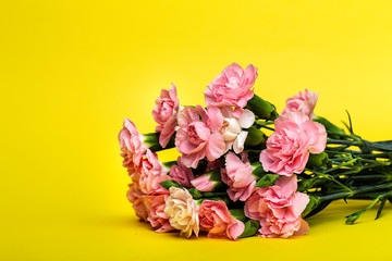 bouquet of pink carnations flowers