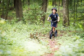 Petit gar&ccedil;on en trottinette sur un chemin dans un bois
