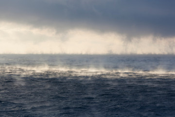  golfstream, warm currentthe, evaporation of water on the surface of the ocean in cold weather