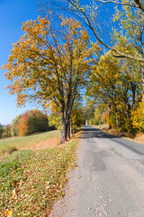 Autumn landscape with old road