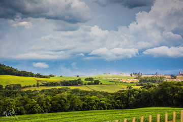 Naklejka premium Antes da chuva