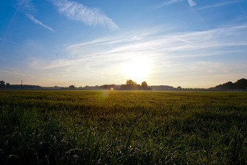 Sonnenaufgang im Spätsommer - Agrarmotive