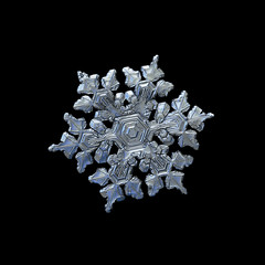Snowflake isolated on black background. Macro photo of real snow crystal: complex star plate with fine hexagonal symmetry, six short, broad arms, glossy relief surface and intricate inner pattern.