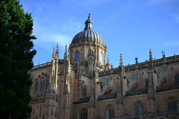 Fototapeta na wymiar Beautiful old city of Salamanca, Spain, Cathedral and Plaza Mayor and Universidad University, Spanish architecture
