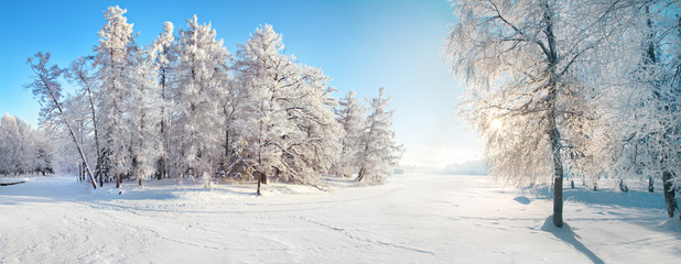 Winter park. Panorama