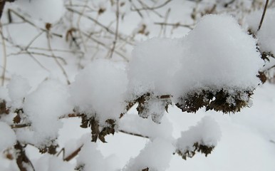 Beautiful winter season