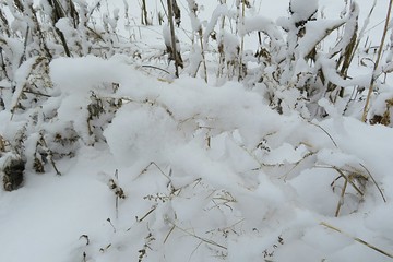 Beautiful winter season

