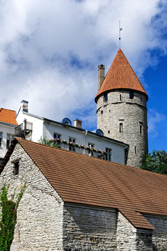 Altstadt von Tallinn mit historischem Turm, Estland