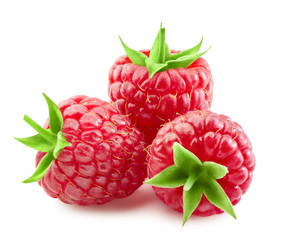 raspberries isolated on white