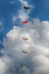 Obraz na płótnie Canvas Kites flying in the sky