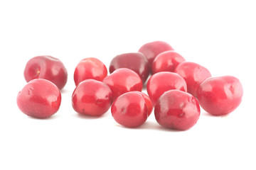 cherries on white background