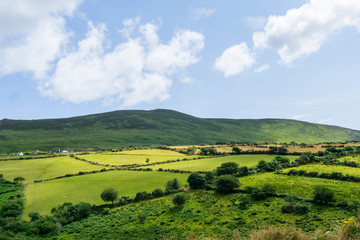 Green fields and fields on Ireland island at blue sky