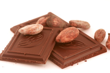 pieces of chocolate with cacao beans isolated on white