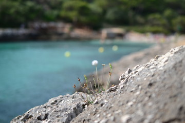 Rock formations for climbing at Cala Sa Nau beach and Cala d'Or city, Palma Mallorca Island, Spain