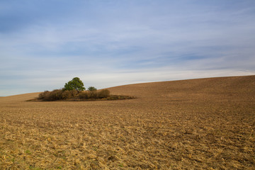 Fototapeta na wymiar Autumn landscape with agricultural land. Czech Republic.