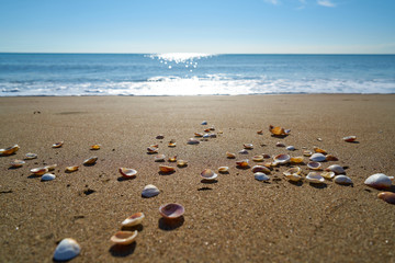 Beach detail background