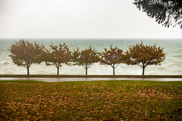 Stormy Lake Shore