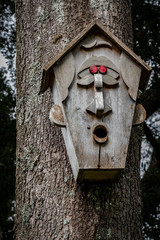 São Miguel Island, Azores