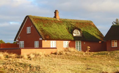 Fototapeta na wymiar Reetgedecktes Haus auf der Nordseeinsel Fanö, Dänemark