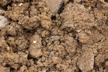Mud ground earth soil wet brown surface texture