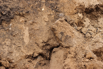 Mud ground earth soil wet brown surface texture