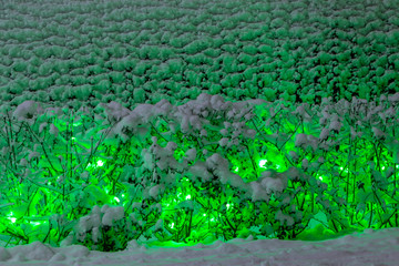 Neon lights in a winter public park. In the form of various animals.