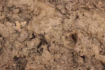 Mud ground earth soil wet brown surface texture