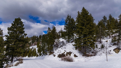 Obraz na płótnie Canvas Snowy Trail Widescreen