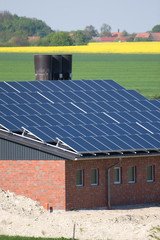 Schweinestall mit Photovoltaikanlage