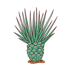 Naklejka na ściany i meble Vector sketch cactus icon. Hand drawn desert plant with needles. Evergreen natural object, symbol of mexico and tequila. Isolated illustration