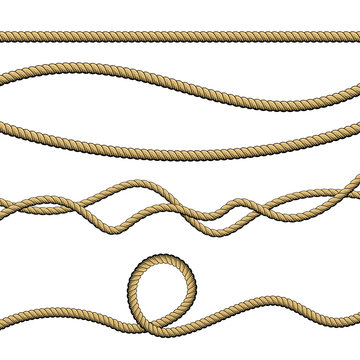 Set of different ropes on white background
