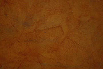 Yellow-orange wall decorated texture in the Mediterranean style.