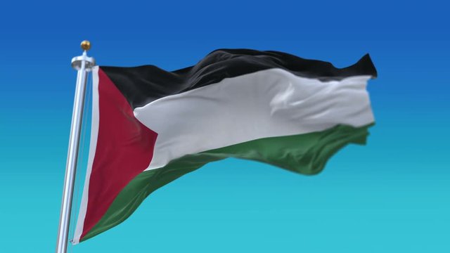 4k Seamless Palestine flag waving in wind,fully digital rendering,The animation loops at 20 seconds,flag 3D animation.