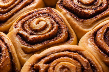 Fototapeta premium Fresh Cinnamon Rolls Sweet and Tasty Cinnabons