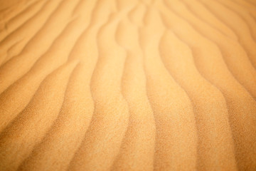 Wave of sand texture