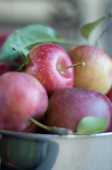 Close up of homegrown apples in bowl
