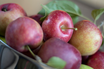 Closeup of Handpicked Apples in a Bowl