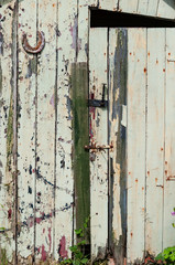 Garden shed door with horseshoe