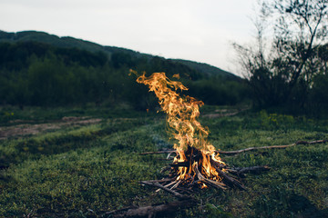Naklejka premium fire in the forest
