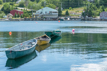 boats in the harbor