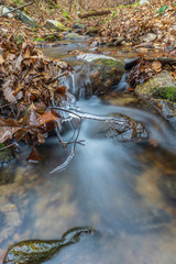 forest stream in the winter forest