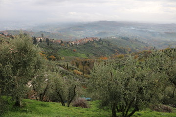 Fototapeta premium San Genaro , Tuscany 