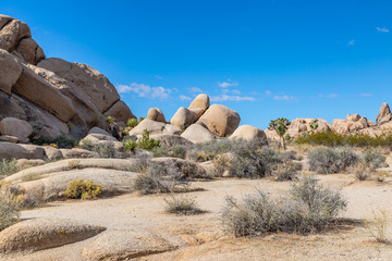 Fototapeta na wymiar Rock formations in Joshua Tree National Park, California