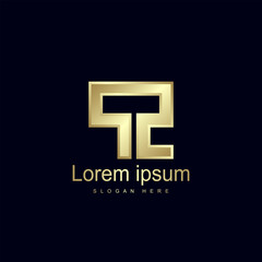 Initial Letter PZ Logo Template Vector Design