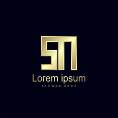 Initial Letter SN Logo Template Vector Design