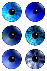 blue human eye