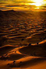 Magical sahara sunrise