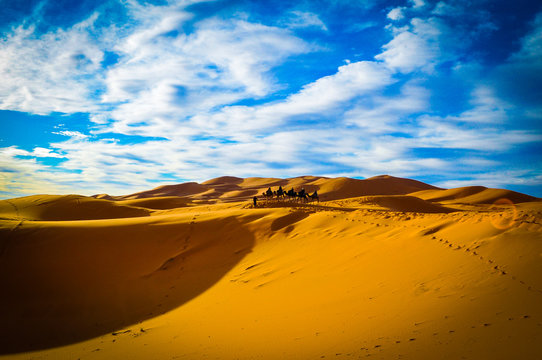 Caravan of camels spotted from a distance © PVILLAMAR
