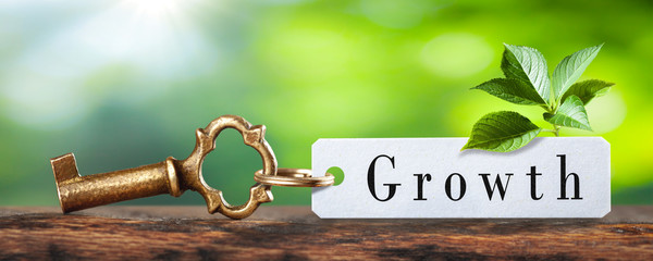 Old Brass Key And Tag With The Word Growth On Wooden Table With Plant And Green Background -...