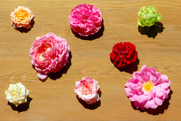 Flat lay of fresh different kinds of roses on wooden surface.